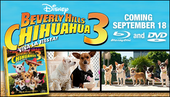 Movie Beverly Hills Chihuaha