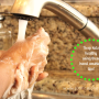 Replace Antibacterial soaps with these safe hand washing tips via @JusticeJonesie