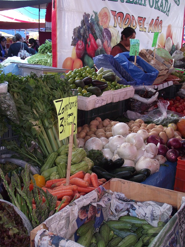 The Tianguis Farmers Market in San Miguel de Allende